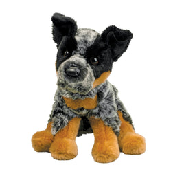 Dexter Australian Cattle Dog