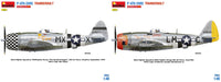 P-47D-25RE Thunderbolt (1/48 Scale) Aircraft Model Kit