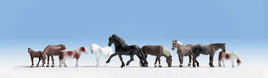 Majestic Horses (9 Pack)