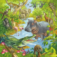 Jungle Fun (3x49 Piece) Puzzle