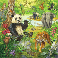 Jungle Fun (3x49 Piece) Puzzle