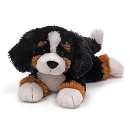 13" Randle Burnese Mountain Dog Puppy