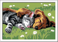 CreArt Sleeping Cats Paint by Numbers