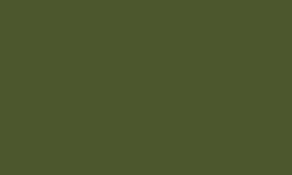 Bronze Green (#98) Model Color Acrylic Paint 17 ml