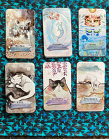 Divine Felines Oracle Deck