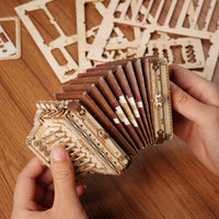 3D Modern Wooden Puzzle: Accordion