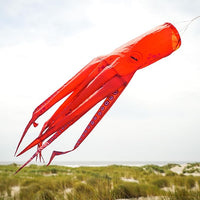 3D Windsock Octopus