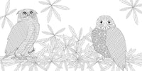 Exquisite Birds Coloring Book