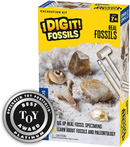 Dig It! Fossils