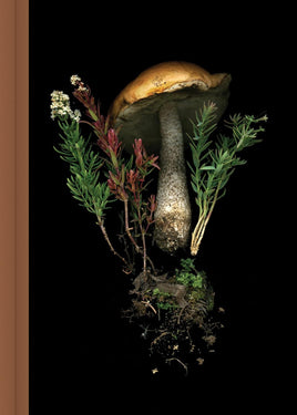 Deep Dark Forest Mushroom Journal