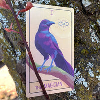 Pacific Northwest Tarot