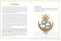 Wild Mystic Oracle Card Deck