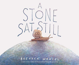 A Stone Sat Still - Brendan Wenzel Hardcover