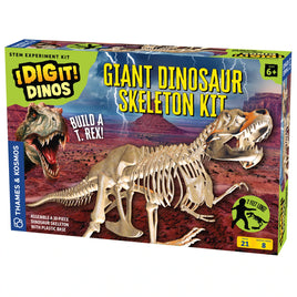 Giant Dinosaur Skeleton Kit