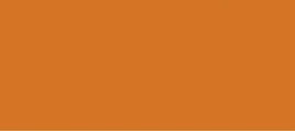 Railroad Color Acrylic Paints 1oz Southern Pacific Daylight Orange