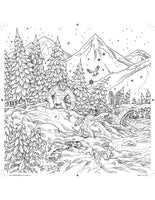 Kaleidomorphia Coloring Book