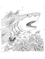 Kaleidomorphia Coloring Book