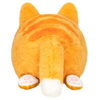 11" Mini Squishable Kitty