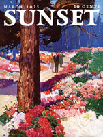 Sunset Garden Walk (1000 Piece) Puzzle