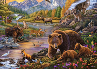 Wilderness (500 Large Format Piece) Puzzle