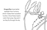 Bug Book for Kids: Coloring Fun and Awesome Facts