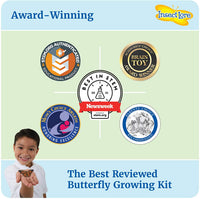 Butterfly Growing Kit - With Voucher to Redeem Caterpillars Later