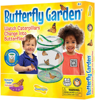 Butterfly Growing Kit - With Voucher to Redeem Caterpillars Later