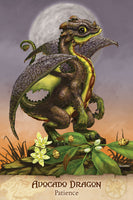 Field Guide To Garden Dragons Oracle