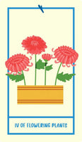 Houseplant Tarot