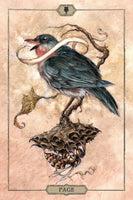 Hush Tarot