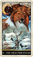 Wise Dog Tarot