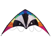 Sport 48" Kite (Assorted Themes)