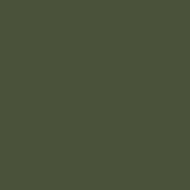 Russian Dark Olive FS 34102 Acrylic Paint 1 Oz Bottle