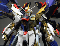 PG Strike Freedom Gundam (1/60th Scale) Plastic Gundam Model Kit