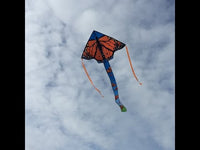 Fly-Hi 45" Kites (Assorted Styles)