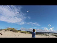 Seagull 58" Kite