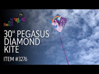 Diamond 30" Kite (Assorted Themes)