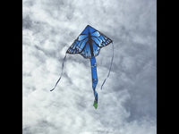 Fly-Hi 45" Kites (Assorted Styles)