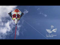 Diamond 30" Kite (Assorted Themes)