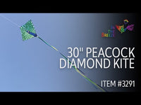 Diamond 30" Kite (Assorted Themes)