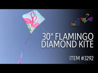 Diamond 30" Kite (Assorted Themes)