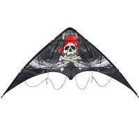 Sport 48" Kite (Assorted Themes)