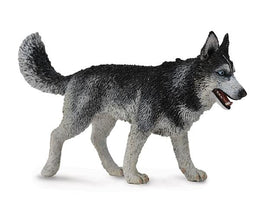 CollectA Siberian Husky