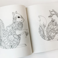 Enchanted Forest Coloring Book